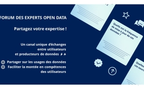 Visuel forum experts open data