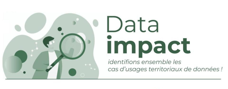 Data Impact - enquête OpenDataFrance et FNCCR