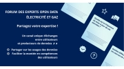 Visuel forum experts open data